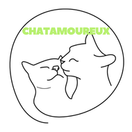 Chat Amoureux